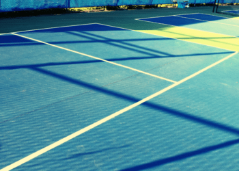 Quiet Pickleball Paddles