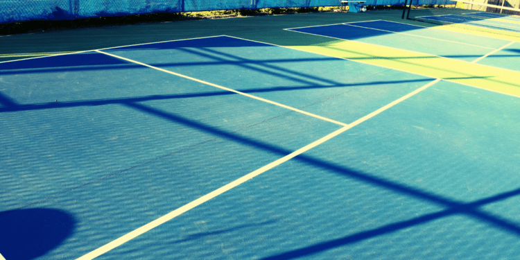 Quiet Pickleball Paddles