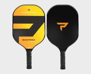 Paddletek Bantam TS-5 Pickleball Paddle - Horizon